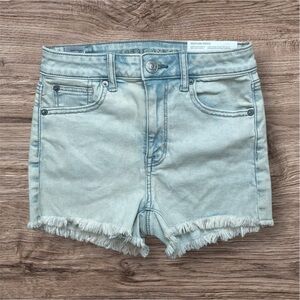 American Eagle Outfitters Jean Shorts